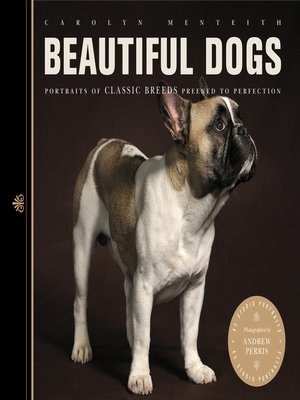 cover image of Beautiful Dogs
